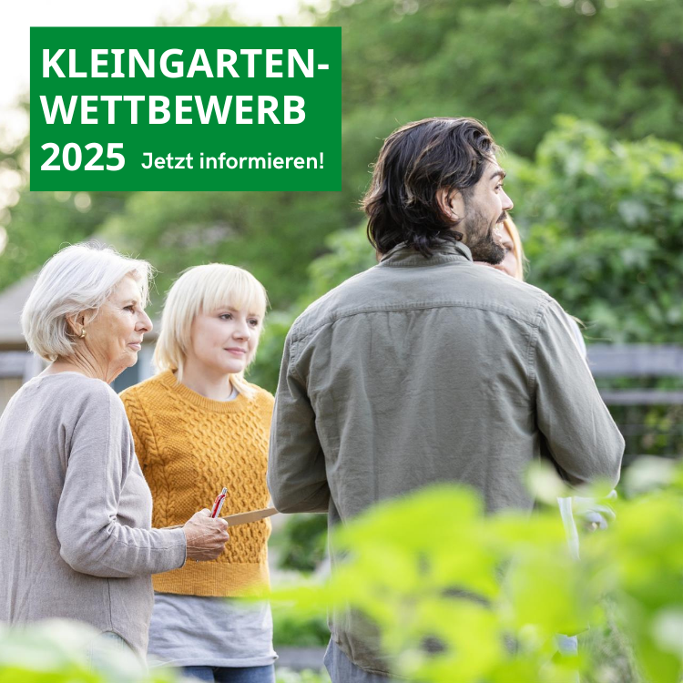 Kleingartenwettbewerb 2025